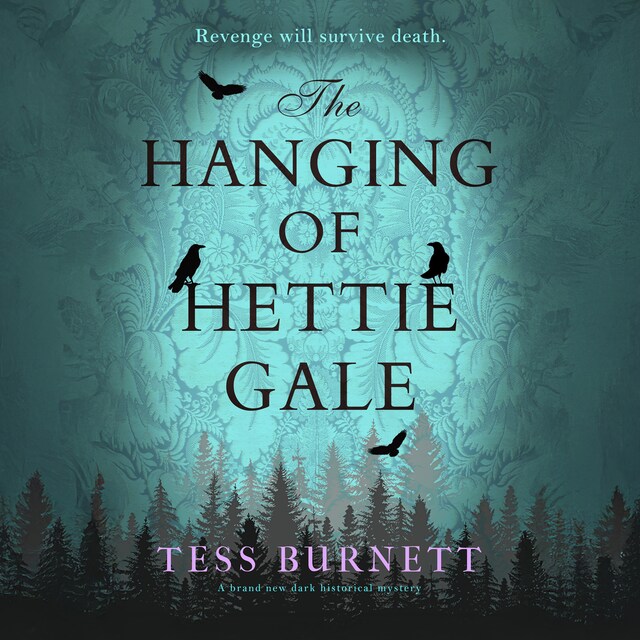 Book cover for The Hanging of Hettie Gale