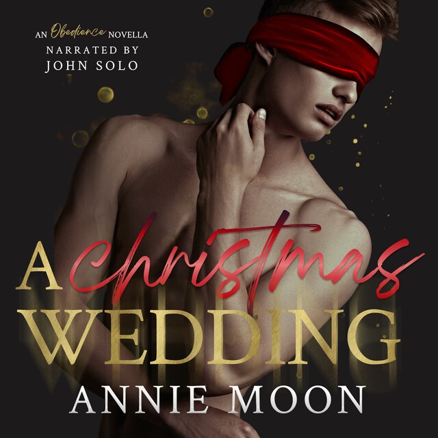 Book cover for A Christmas Wedding