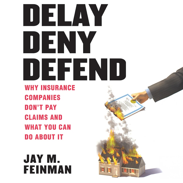 Book cover for Delay Deny Defend