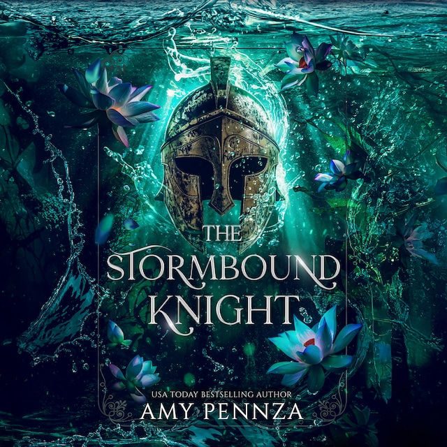 Book cover for The Stormbound Knight