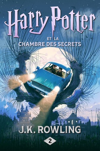 Harry Potter et la Chambre des Secrets bookCoverFor