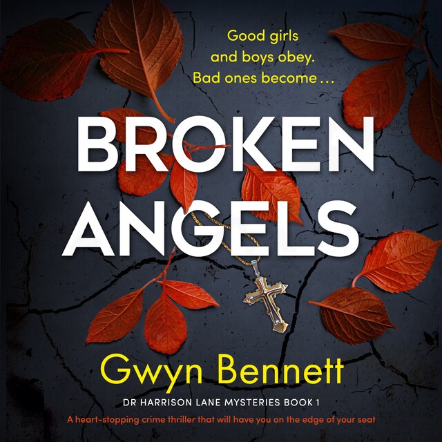 Book cover for Broken Angels