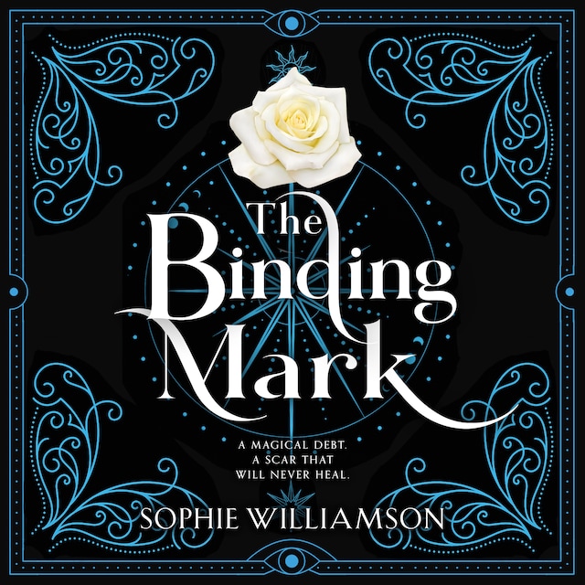 Book cover for The Binding Mark