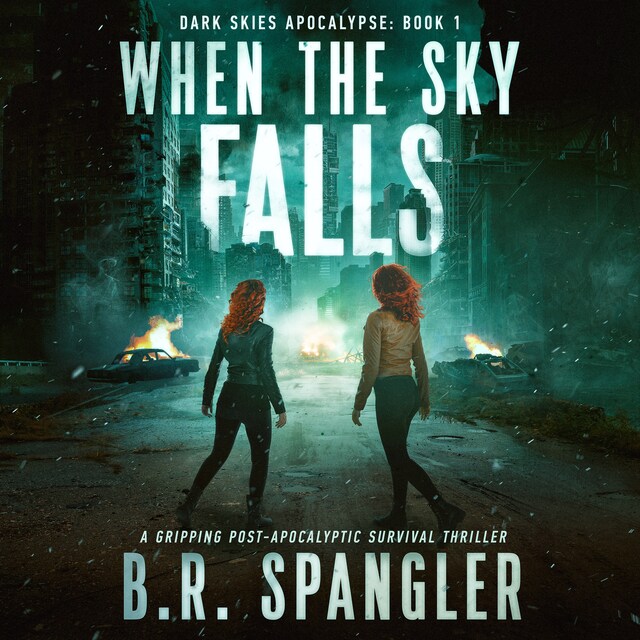 Book cover for When the Sky Falls