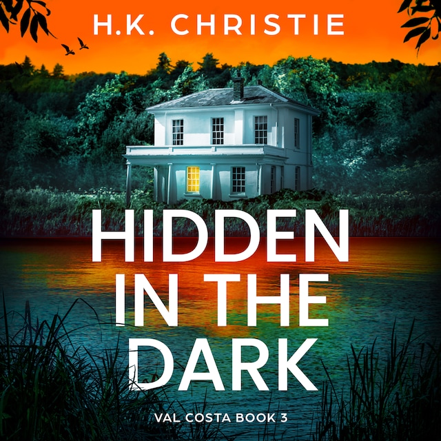 Book cover for Hidden in the Dark