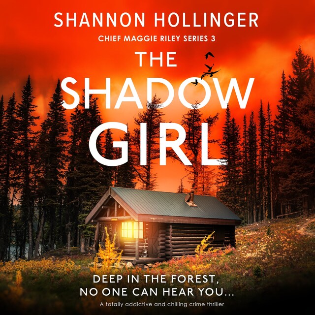 Book cover for The Shadow Girl