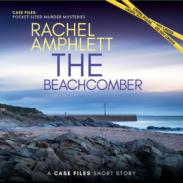 Book cover for The Beachcomber