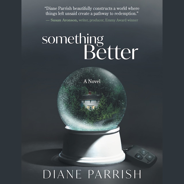 Book cover for Something Better