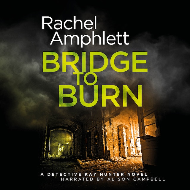 Book cover for Bridge to Burn