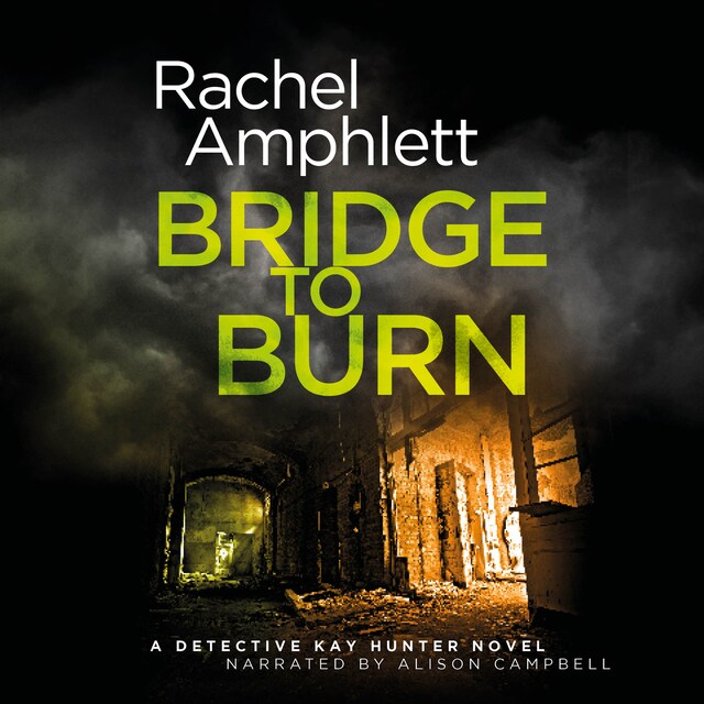 Book cover for Bridge to Burn