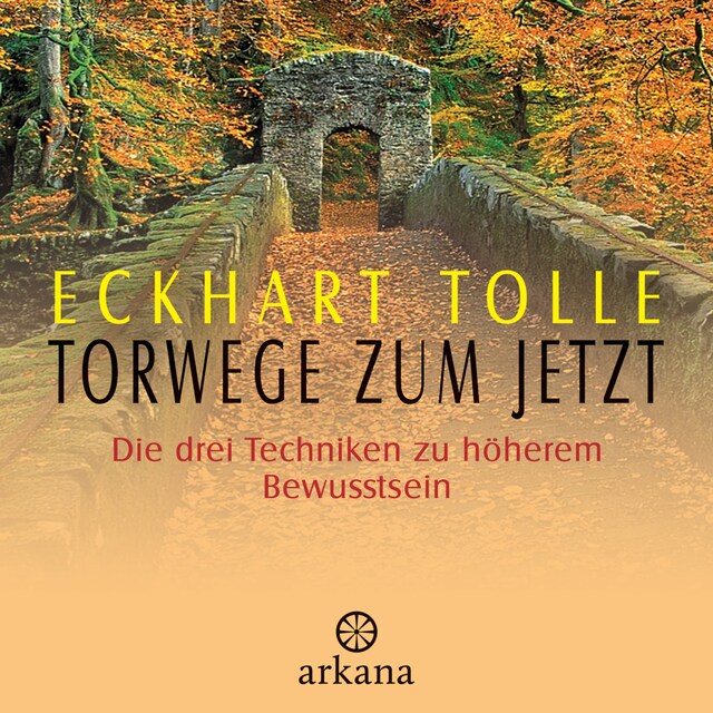 Buchcover für Torwege zum Jetzt