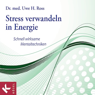 Stress verwandeln in Energie als Hörbuch