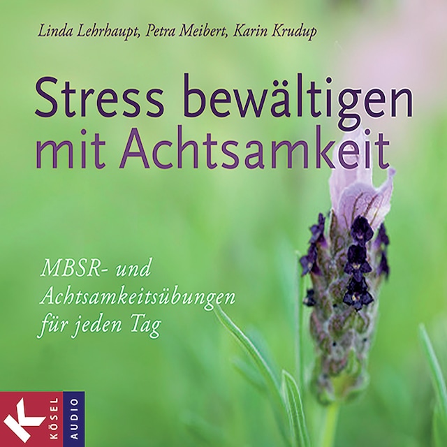 Buchcover für Stress bewältigen mit Achtsamkeit