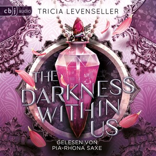 The Darkness Within Us als Hörbuch