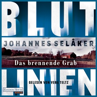 Blutlinien - Das brennende Grab als Hörbuch