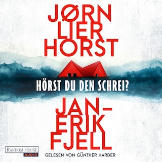 Hörst du den Schrei? als Hörbuch
