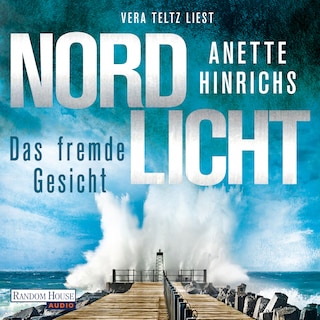 Nordlicht - Das fremde Gesicht als Hörbuch