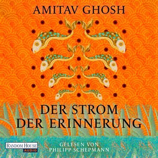 Der Strom der Erinnerung als Hörbuch
