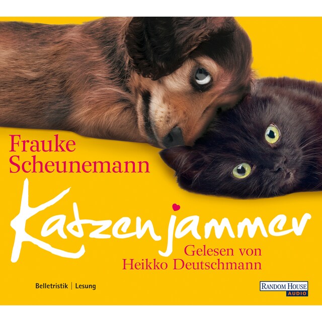 Buchcover für Katzenjammer