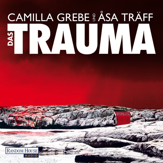 Buchcover für Das Trauma