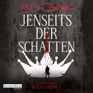 Jenseits der Schatten als Hörbuch