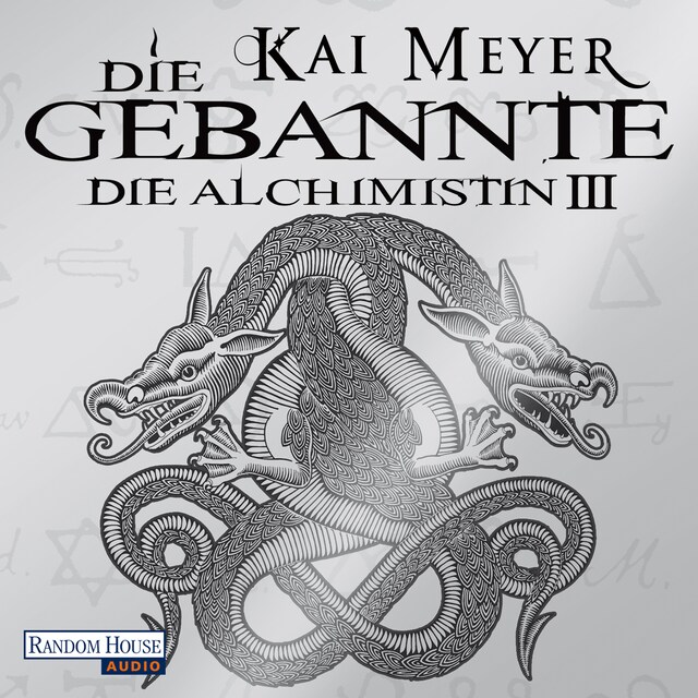 Buchcover für Die Gebannte - Die Alchimistin III