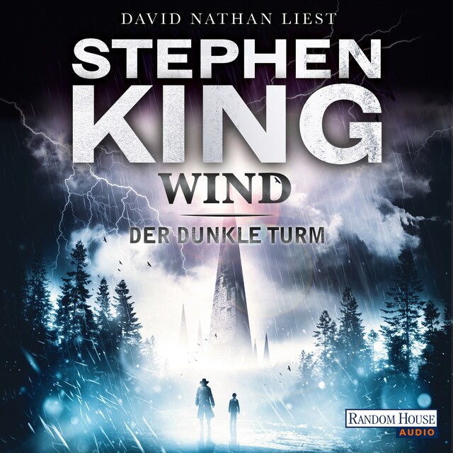 Buchcover für Der dunkle Turm – Wind (8)