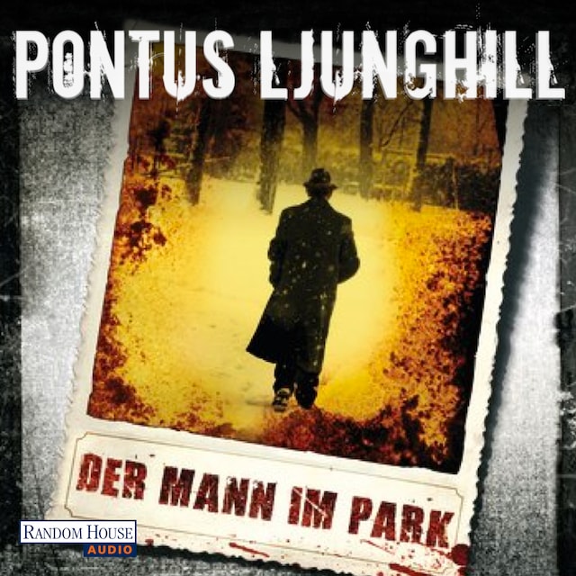 Buchcover für Der Mann im Park