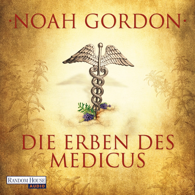 Buchcover für Die Erben des Medicus