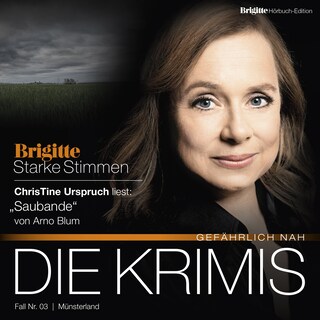 Saubande als Hörbuch