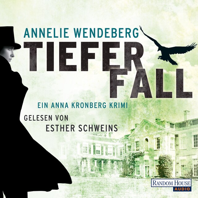 Buchcover für Tiefer Fall