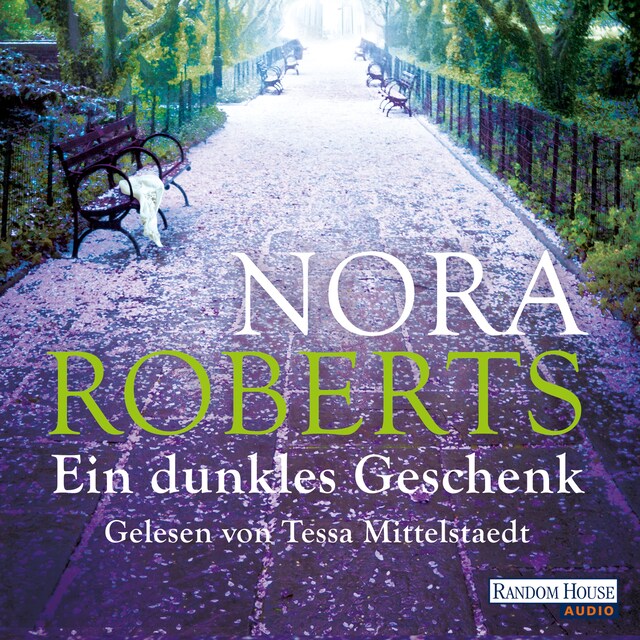 Buchcover für Ein dunkles Geschenk