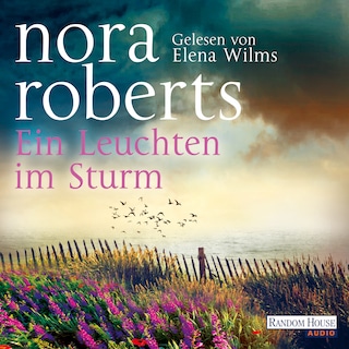Ein Leuchten im Sturm als Hörbuch