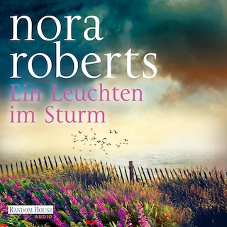 Ein Leuchten im Sturm als Hörbuch