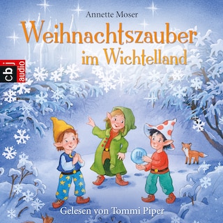Weihnachtszauber im Wichtelland als Hörbuch
