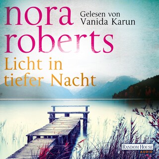 Licht in tiefer Nacht als Hörbuch