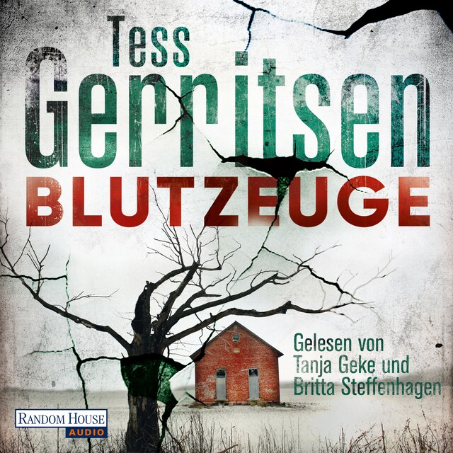 Buchcover für Blutzeuge