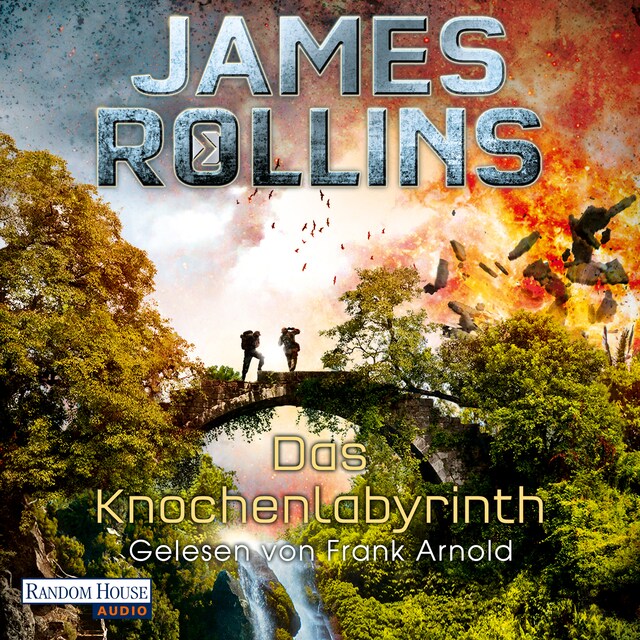 Buchcover für Das Knochenlabyrinth