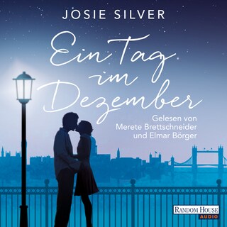 Ein Tag im Dezember als Hörbuch