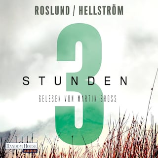 Drei Stunden als Hörbuch