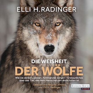 Die Weisheit der Wölfe als Hörbuch