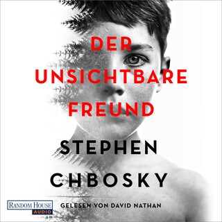 Der unsichtbare Freund als Hörbuch