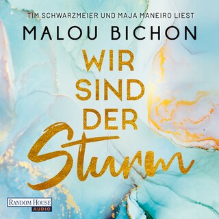 Wir sind der Sturm als Hörbuch