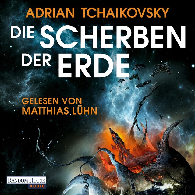 Buchcover für Die Scherben der Erde