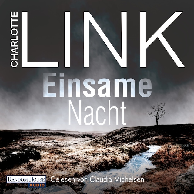 Couverture de livre pour Einsame Nacht