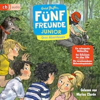 Fünf Freunde JUNIOR - Drei Abenteuer - Ein aufregender Waldausflug. Das Geheimnis der alten Villa. Die verschwundenen Weihnachtspäckchen