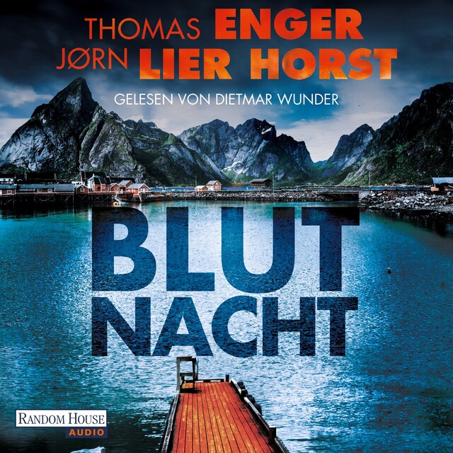 Buchcover für Blutnacht