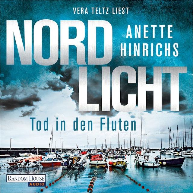 Buchcover für Nordlicht - Tod in den Fluten