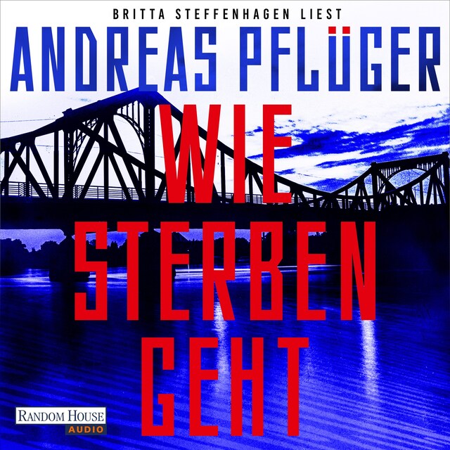 Buchcover für Wie Sterben geht