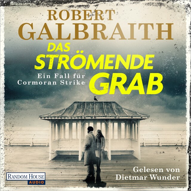 Buchcover für Das strömende Grab